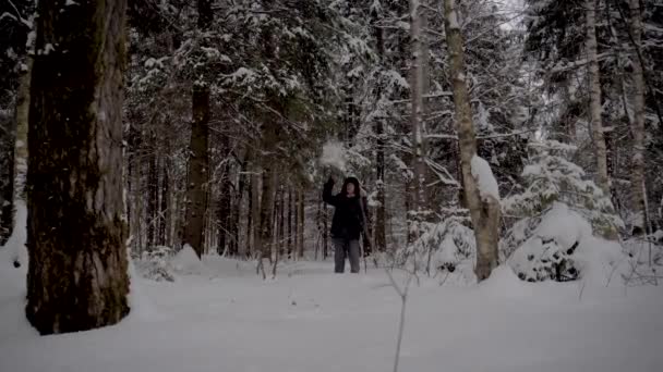 Homme ermite randonnée à travers la forêt enneigée avec trekking Polonais en hiver — Video
