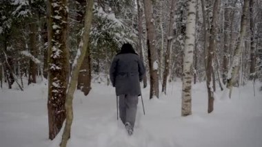 Çekimde, arkadan görünüşü trekking Polonyalılar ile karlı bir ormandaki bir patika boyunca hiking bir adam. Soğuk kış günü Kuzey, derin kar sürüklenir, ağır çekim