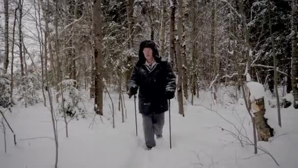 मोशन मॅन हिवाळ्यात ट्रेकिंग ध्रुव सह स्नोव जंगलातून हायकिंग — स्टॉक व्हिडिओ