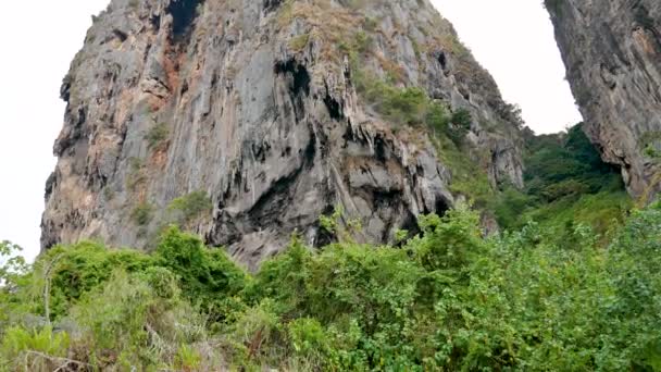 Roca caliza con arbustos panorámica de arriba a abajo al mar que lo lava — Vídeos de Stock