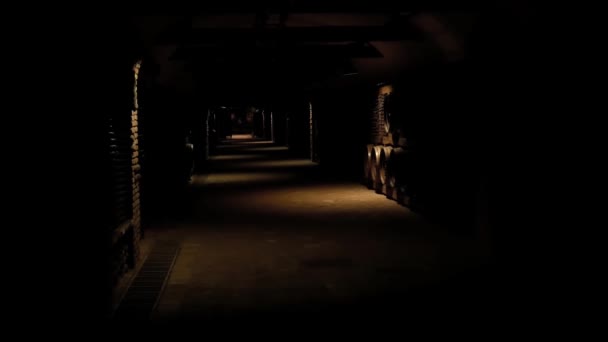 Dark Wine Cellar With Barrels And Bottles — Stock Video