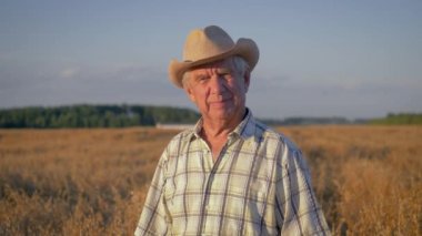 Gün batımında buğday alanında bir yaşlı beyaz adam çiftçi portresi