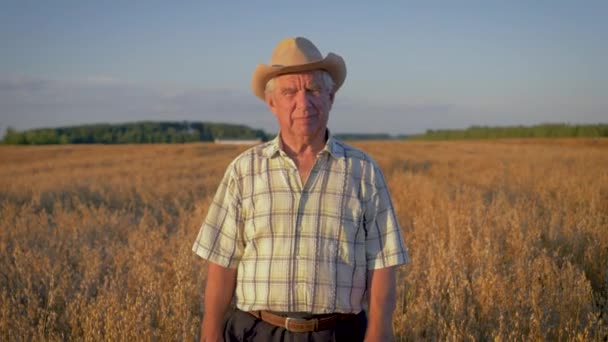 Anziano caucasico uomo in un cowboy cappello passeggiata in un campo di grano a tramonto — Video Stock