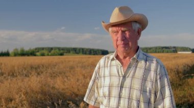 Kovboy şapkalı yaşlı beyaz adam günbatımında buğday tarlasında yürümek
