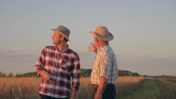 Dva farmáři na poli plodiny komunikovat a dohodnout — Stock video