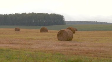 Sıcak bir yaz gününde Haystacks ile tarım alanı