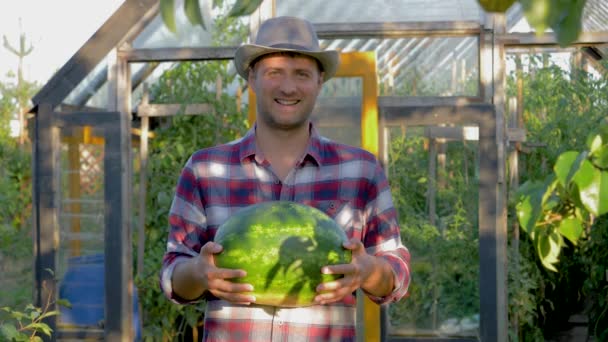 Porträt Cowboy Mann mit Hut hält eine reife Wassermelone auf Treibhaushintergrund — Stockvideo