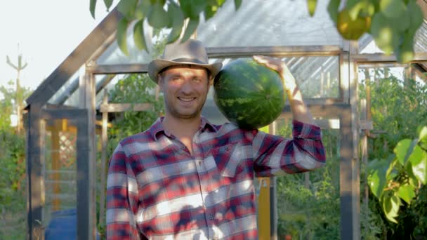 Retrato homem agricultor em chapéu segurando uma melancia madura em fundo de estufa — Vídeo de Stock