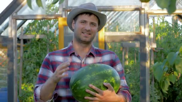 Retrato homem agricultor segurando uma melancia madura no fundo da estufa no jardim — Vídeo de Stock