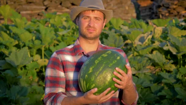 Улыбающийся фермер держит органический арбуз в сельском хозяйстве — стоковое видео