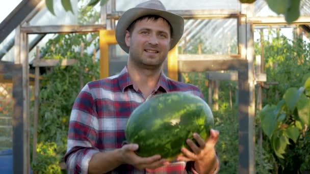 Glücklicher Bauer hält von reifer Wassermelone Hintergrund des Gewächshauses im Garten — Stockvideo
