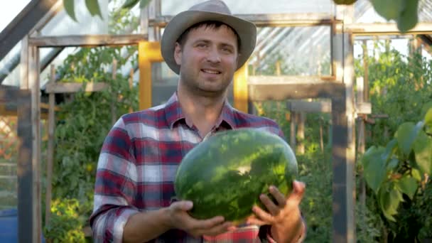 Heureux fermier tient de pastèque mûre Arrière-plan de la serre dans le jardin — Video