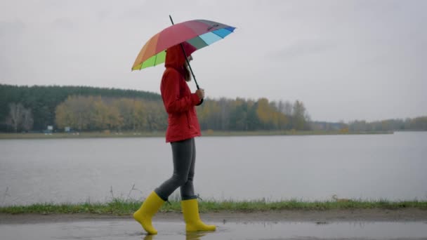 在秋天的日子里, 穿黄色靴子和雨伞的女人穿过了水坑 — 图库视频影像