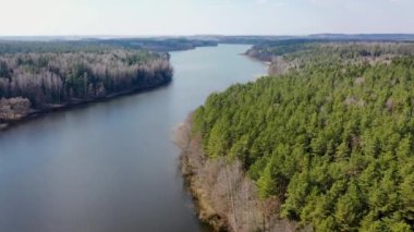 Bir bahar gününde gri orman Ile güzel bir geniş nehir ve yeşil üzerinde uçan
