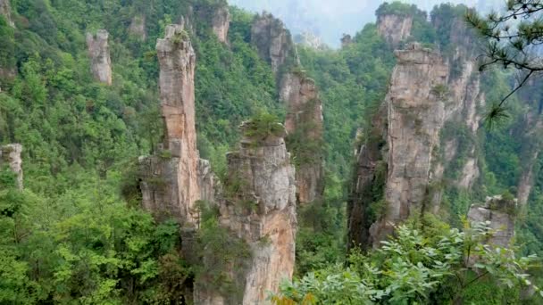 Taş Sütunlar ve Kaya Oluşumları ile Zhangjiajie Park Dağ Manzara — Stok video