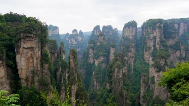 Montañas Avatar del Parque Forestal Zhangjiajie con Pilares de Piedra Formaciones de Roca — Vídeos de Stock