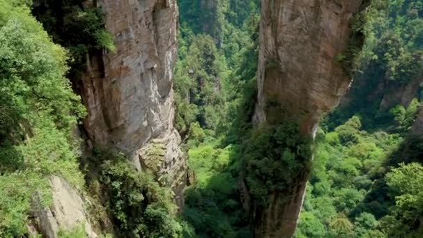 Pan Bottom Up alti pilastri di pietra rocciosa delle montagne nel parco forestale Zhangjiajie — Video Stock