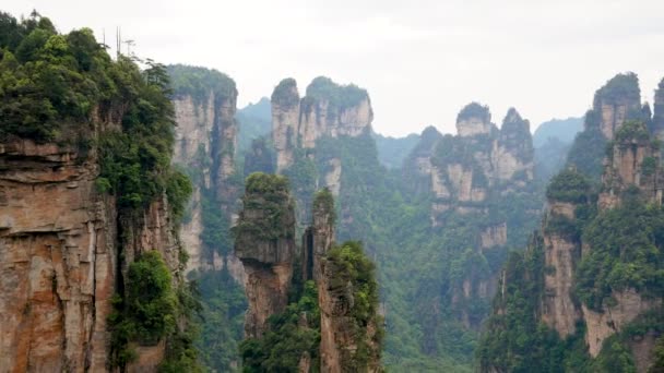 Montanhas Zhangjiajie com pilares de pedra formações rochosas coberto floresta tropical — Vídeo de Stock