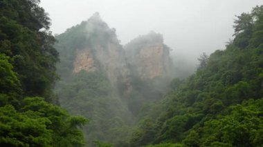 Dağ Kayalar Sis Yağmur Altında Yeşil Lush Evergreen Yağmur Ormanı ile Kaplı