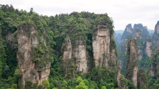 Καταπληκτικά βουνά από δασικό πάρκο Zhangjiajie με πέτρινους πυλώνες βραχώδεις σχηματισμούς — Αρχείο Βίντεο