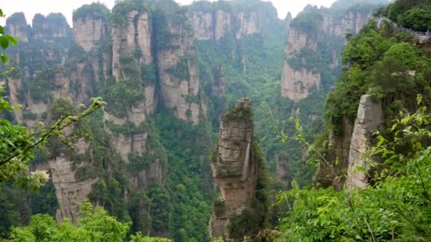 Βουνά από δασικό πάρκο Zhangjiajie με βραχώδεις σχηματισμούς με μονοπάτια πεζοπορίας — Αρχείο Βίντεο