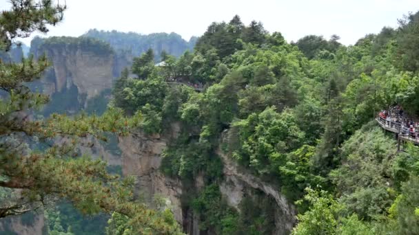 Zhangjiajie, Κίνα - 08 Ενδέχεται 2019: Οι τουρίστες περπατούν σε μονοπάτια πεζοπορίας στα βουνά — Αρχείο Βίντεο