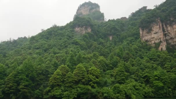 Bosques perennes densos creciendo en las formaciones rocosas en la montaña — Vídeos de Stock