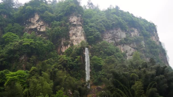 Cachoeira bonita sai da rocha em montanhas com densas florestas verdes — Vídeo de Stock