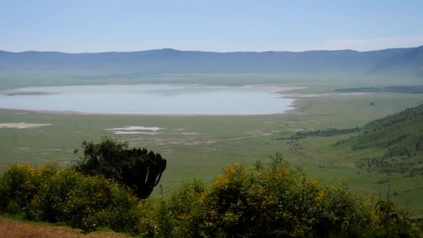 Cráter de Ngorongoro con lago Magadi — Vídeo de stock
