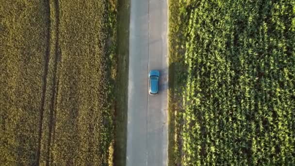 Auto gaat op de weg bij zonsondergang van agrarische velden met maïs en graan — Stockvideo