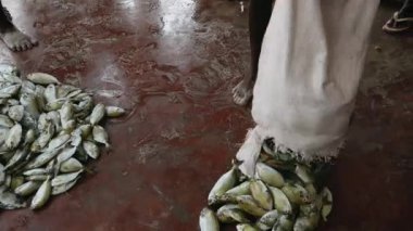 Balıkçılar Torbadan Marketin Beton Zeminine Taze Balık Döktü