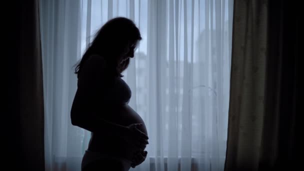 Silhouette noire de belle femme enceinte caressant son ventre debout près de la fenêtre — Video