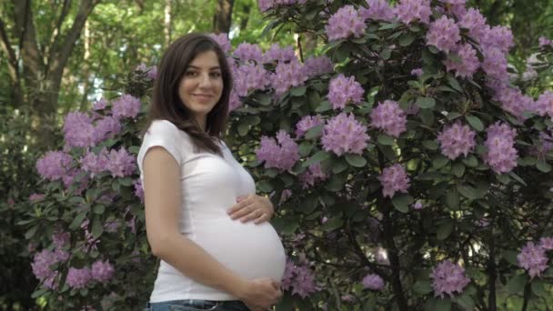 Feliz mujer embarazada de pie en Bush de flores acariciando su estómago con la mano — Vídeos de Stock