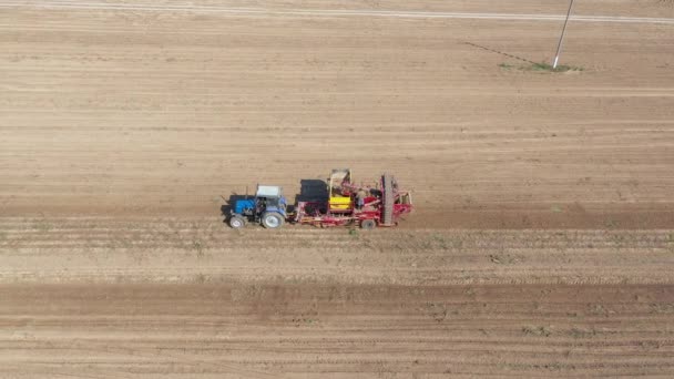 Kırsal havadan geçen traktör römorklu olgun patatesler hasat ediliyor. — Stok video