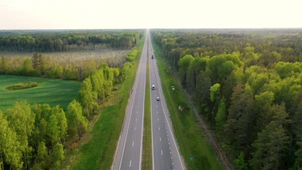Ταχύτητα Intercity Highway μέσα από το δάσος με κινούμενα αυτοκίνητα και φορτηγά Αεροφωτογραφία — Αρχείο Βίντεο