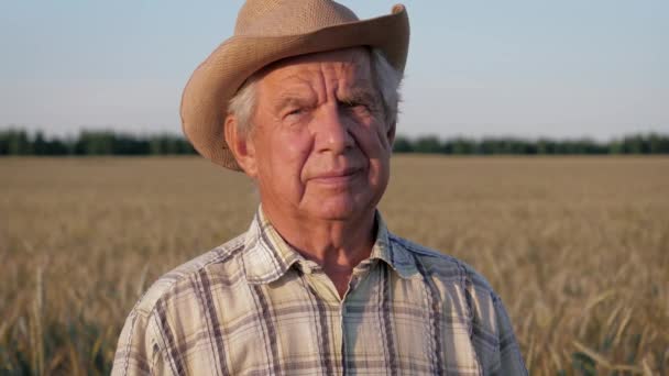 Retrato anciano hombre agricultor con sombrero en el fondo de campo agrícola trigo — Vídeos de Stock