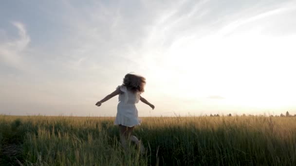 Mulher de vestido corre no campo de trigo em direção ao sol ao pôr do sol levantando os braços — Vídeo de Stock