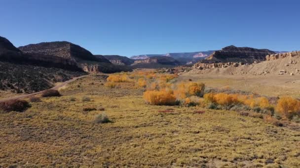 Voando para a frente sobre o desfiladeiro da montanha no outono dia ensolarado folhas amarelas em árvores — Vídeo de Stock