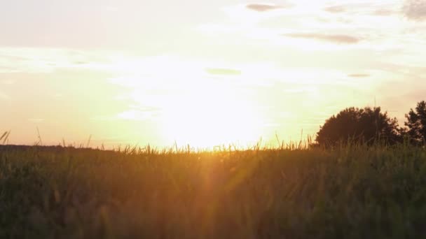 Moto vicino alla terra per soddisfare un caldo tramonto estivo in un campo rurale — Video Stock