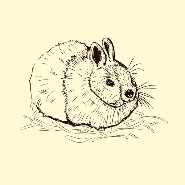 Lapin peint à la main. Esquisse du lapin de Pâques. Lapin noir et blanc. — Image vectorielle