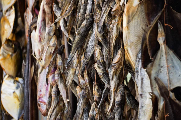 Αποξηραμένα ψάρια. Αποξηραμένα ψάρια κρέμονται από ένα σχοινί. Οριζόντια κορνίζα. Η εστίαση μετατοπίζεται στο κέντρο του πλαισίου — Φωτογραφία Αρχείου