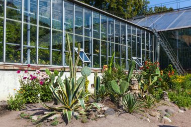 Sera bitkiler ve kaktüsler Botanik Bahçesi