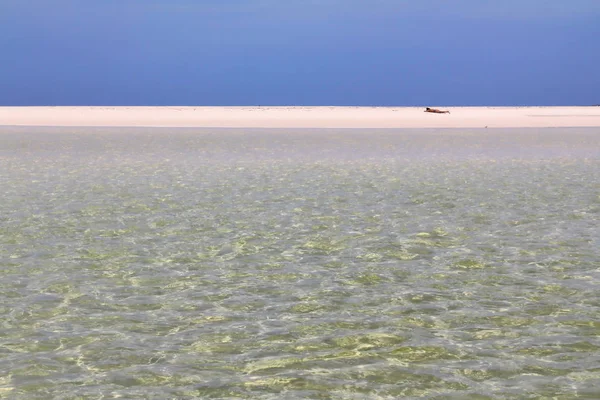 Αγνώριστος Θηλυκά Ενήλικα Ηλιοθεραπεία Στην Παραλία Άμμου Μινιμαλιστική Σκηνή Ρηχά — Φωτογραφία Αρχείου