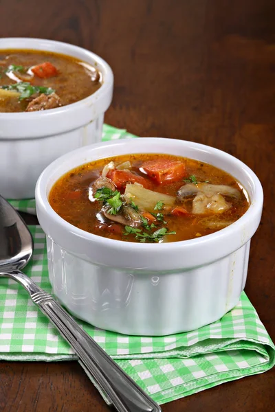 Beef Stew Shallow Focus — Stock Photo, Image