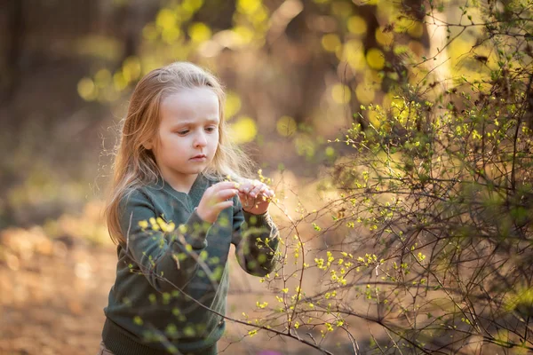 Little girl is holding a flowering twig in the spring — Stock Photo, Image