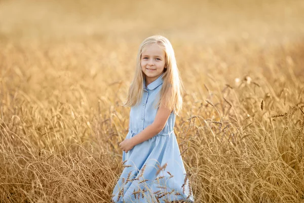 A little blonde girl is standing in a wheat field in summer. — Stock Photo, Image