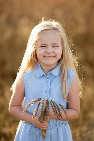 Malá blondýnka v létě stojí v pšeničném poli s spikelety v dlaních. — Stock fotografie