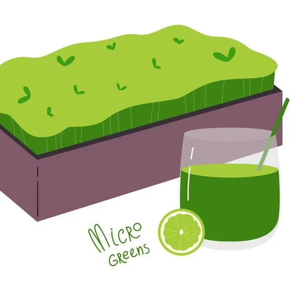 Microgreens Box Superfood Bicchiere Frullato Con Una Fetta Lime Growing — Vettoriale Stock