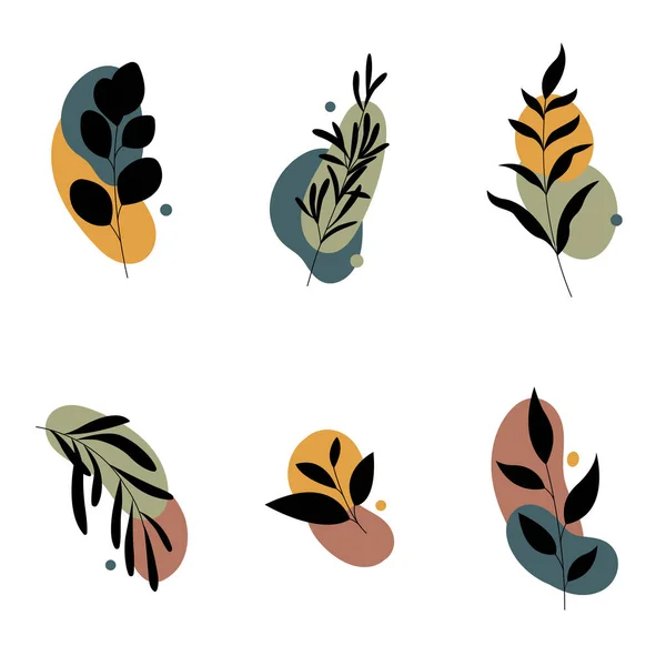 Set van abstracte planten.Handgetekende silhouetten. — Stockvector