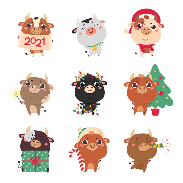 Set of cute cartoon bulls and cows.Happy new year — Stock Vector